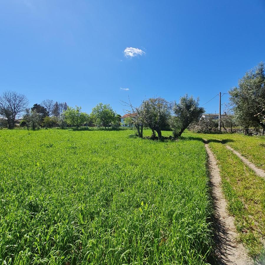 Quinta Jr - Casa De Campo Carregal  Dış mekan fotoğraf