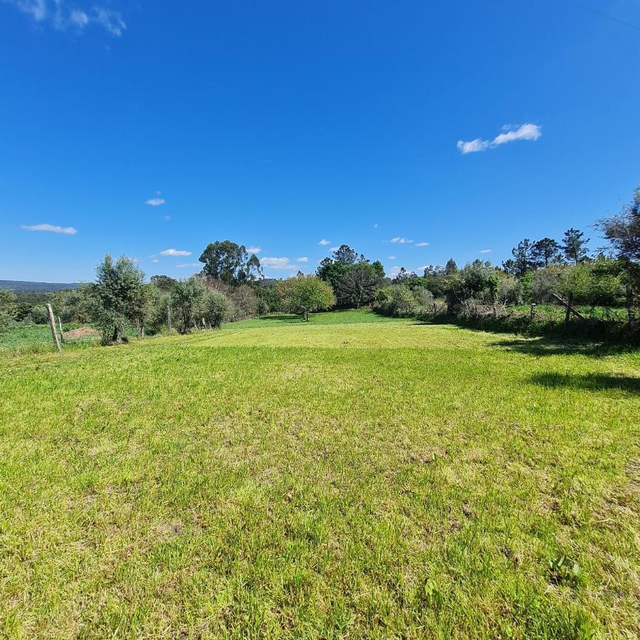 Quinta Jr - Casa De Campo Carregal  Dış mekan fotoğraf