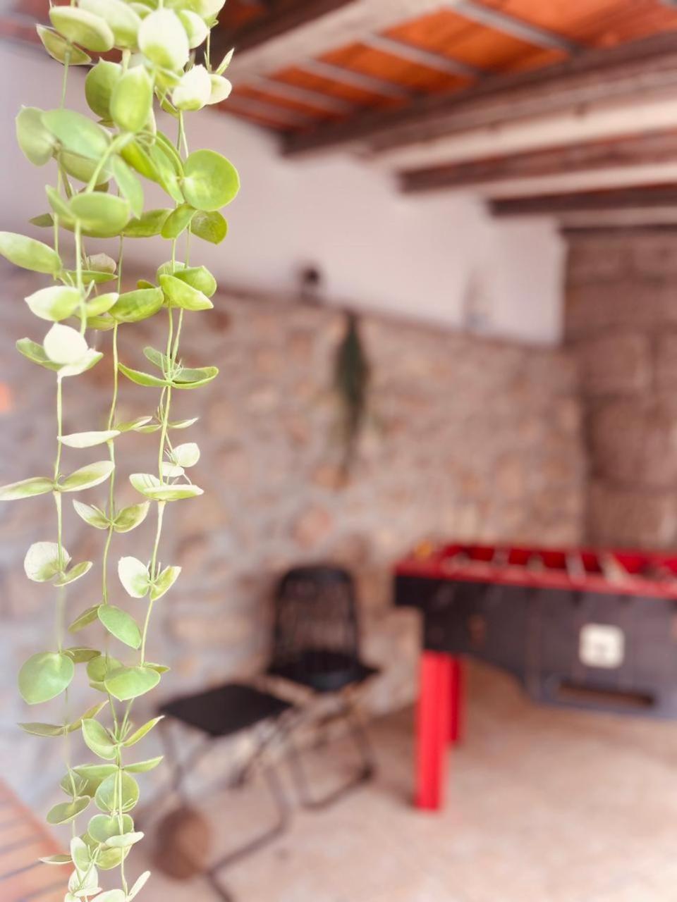 Quinta Jr - Casa De Campo Carregal  Dış mekan fotoğraf