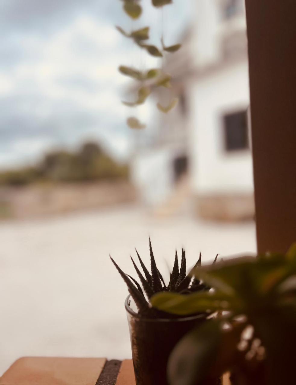 Quinta Jr - Casa De Campo Carregal  Dış mekan fotoğraf