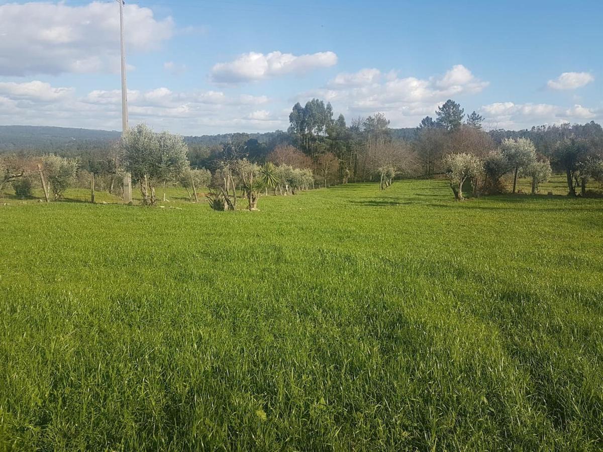 Quinta Jr - Casa De Campo Carregal  Dış mekan fotoğraf