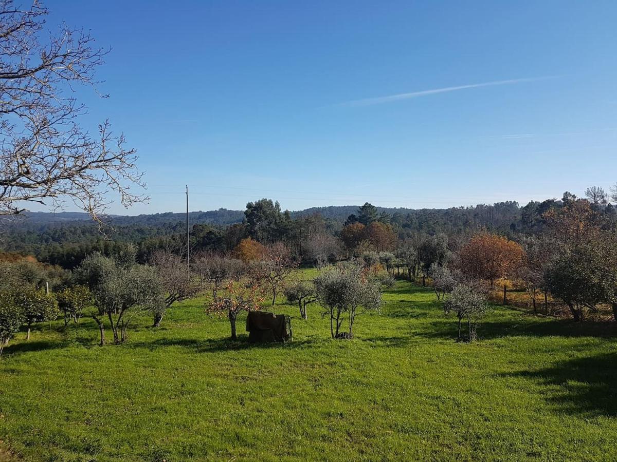 Quinta Jr - Casa De Campo Carregal  Dış mekan fotoğraf